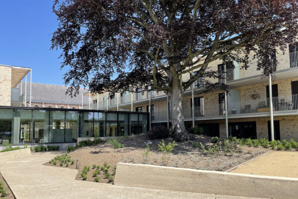 Woonzorgcentrum Angelahof in Diepenbeek, gezien vanaf de buitenkant, waar het omringende terras zichtbaar is, ingedeeld in kleinere terrassen voor elke afzonderlijke kamer. Buiten is ook een grote boom te zien.