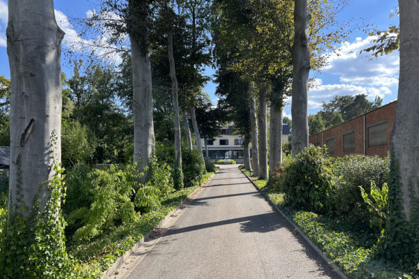 Het bad richting woonzorgcampus Beerzelhof omringd door groen en grote bomen. Verstopt tussen alle planten is het gebouw zichtbaar aan het einde van het pad.