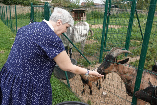 Les Jardins d'Astrid- Jardin - une femme âgée avec un bouc derrière une clôture - Maison de repos Maurage