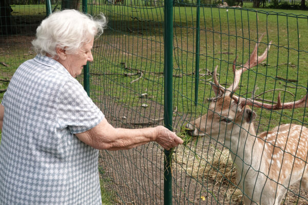 Les Jardins d'Astrid- Jardin - une femme âgée avec un daim derrière une clôture - Maison de repos Maurage