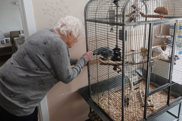 De Nootelaer woonzorgcentrum Keerbergen