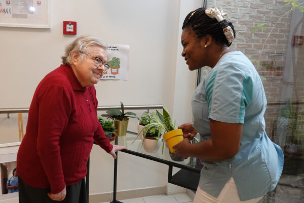 Helianthus woonzorgcentrum Melle