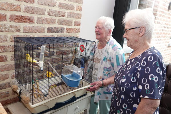 Heydeveld woonzorgcentrum herstelverblijf Opwijk