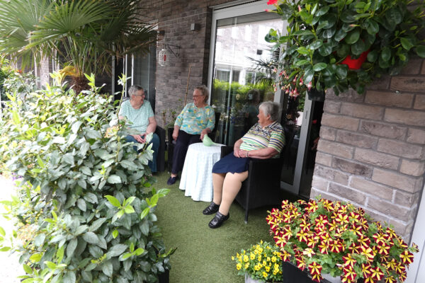 Oase assistentiewoning Wolvertem