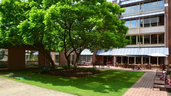 Les Pléiades - Jardin et terrasse - Maison de repos - Woluwe St Lambert