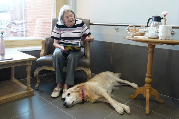 Les Pléiades - une femme âgée assise avec son chien Maison de repos - Woluwe St Lambert