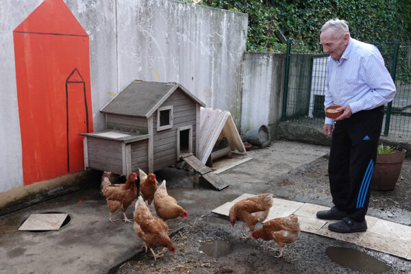 't Hoge Kortrijk woonzorgcentrum