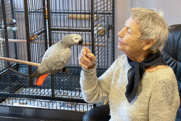 Sint Lambertus Buren woonzorgcentrum Halen