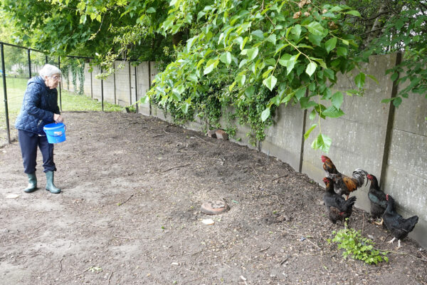 Uilenspiegel woonzorgcentrum Genk