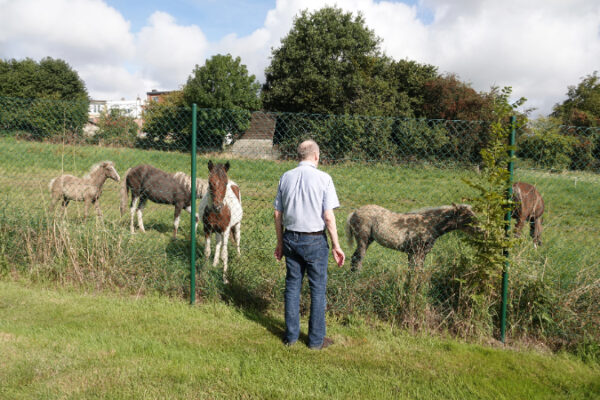 Domaine des Lys - Jardin - un homme regarde les chevaux - Maison de repos Résidences services Vottem