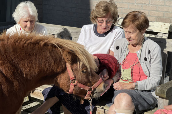 Les Récollets -3 femmes âgées et un poney -maison de repos - Buvrinnes