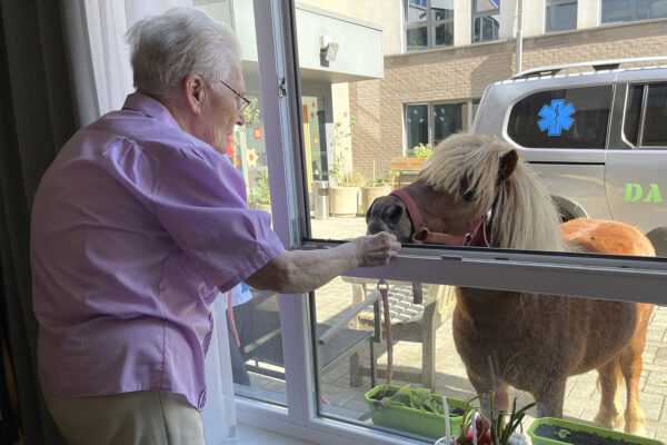 Les Récollets - Chambre avec une personne et un poney à travers la fenêtre - maison de repos - Buvrinnes