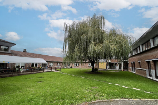 La Passerinette jardin avec un saule pleureur sur la pelouse - Maison de repos - Soumagne