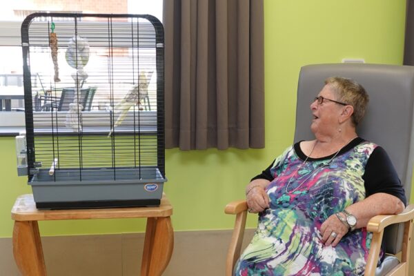 Domaine des Lys - Cage oiseau Maison de repos Résidences services Vottem